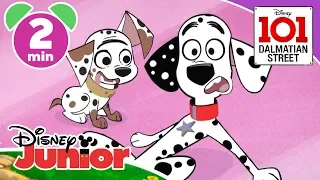 101 Dalmatian Street | Muddy Pups 🐾 | Disney Kids