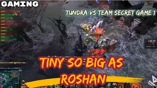 TINY SO BIG AS ROSHAN | TUNDRA VS TEAM SECRET UB FINALS GAME 1 | TINY WITH GIANT RINGS [DOTA 2]