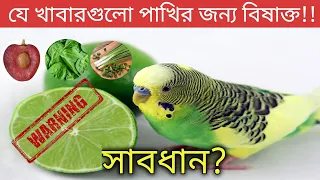 বাজরিগার পাখি পালন | পাখিকে কি কি খাওয়াবেন না | What Not To Feed Budgies | Poisonous Foods For Bird