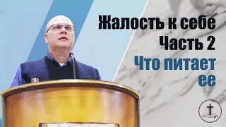 Владимир Меньшиков - Жалость к себе: Что питает ее | 2 часть | Проповедь