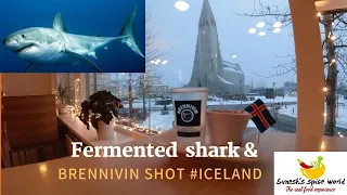 ICELANDIC FERMENTED SHARK  | Regional Eats# MUST TRY FOOD IN ICELAND