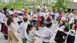 Чотири воли пасу я - Українська весільна пісня