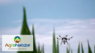 Trattamenti con drone a difesa delle colture