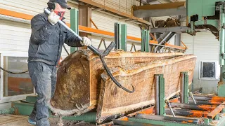 Process of Making The Most Expensive Wood Table. Sawmill in Korea