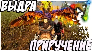 ARK  Survival Evolved - ПРИРУЧЕНИЕ ВЫДРЫ! TAMING OTTER!