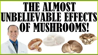 The Almost Unbelievable Effects Mushrooms With Dr Joel Fuhrman!