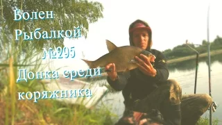 Болен Рыбалкой №295 - Донка среди коряжника