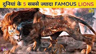 इन शेरों के सामने फिल्मों के बड़े बड़े सितारे भी फीके है | 5 Most Famous Lions in The World in Hindi