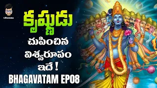 Cosmic Krishna - Lord Vishnu Story | Bhagavatam In Telugu EP08 | Lifeorama