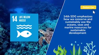 SDG 14 Life below Water | Moving towards Sustainable Development Goals