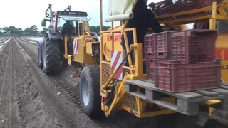 Французский комбайн KIRPY уборка спаржи. Asparagus harvester