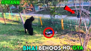 Funny gorilla prank 😂🤣 #viral #gorillaprank #funnymoments #gorillatagfunny