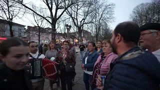 RODA DAS CONCERTINAS, CAMPO DO TRASLADÁRIO ARCOS DE VALDEVEZ 17 MARÇO 2024.