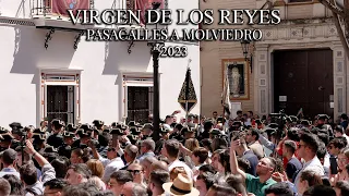 4K || VIRGEN DE LOS REYES || PASACALLES A MOLVIEDRO || 2023