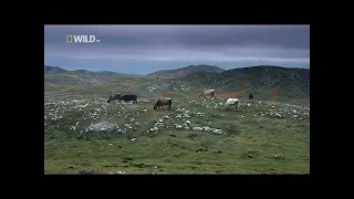 [Nat Geo Wild] Wild Balkans (Nature Documentary)