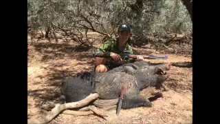 Pig Hunting Far North Queensland with Marlin 44 Magnum