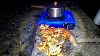 Wild Prawns & Swimming Crabs in the Shrimp Net - Beach Crab & Prawn Boil