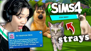 there's a PET APODPTION DRIVE?!?! || Sims 4 For Rent #2