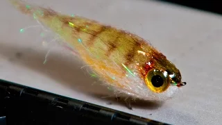Fat Head Squishy Streamer -  UNDERWATER Footage! - Perch streamer fly pattern