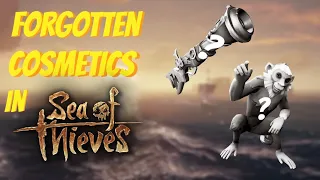 The Most Forgotten Cosmetics In Sea of Thieves