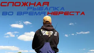 Сложная рыбалка во время нереста