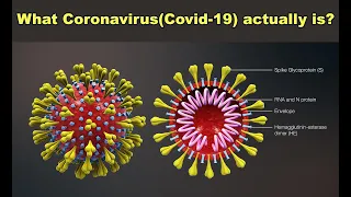 What Coronavirus (Covid-19) actually is? What is Covid-19? What are the symptoms of Coronavirus?