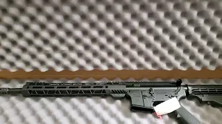 PSA ar 15 556 first look and review