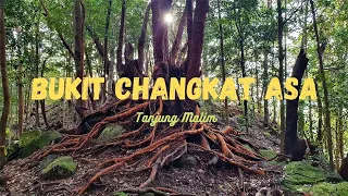 Bukit Changkat Asa @ Tanjung Malim | Beginner Scenic Hike | Pokok Gelam Merah |