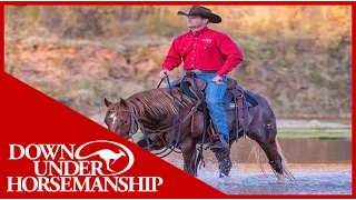 Clinton Anderson: How to Select a Trail Horse - Downunder Horsemanship