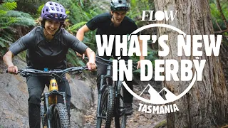 What’s New in Blue Derby | New Trails, Refreshed Trails, and The Latest From Around Town