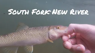 Fishing The South Fork New River NC