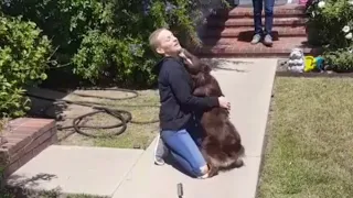 Woman Reunited With Excited Dog After Month of Chemotherapy