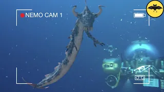 5 Mysterious Deep Ocean Creatures Caught on Camera.