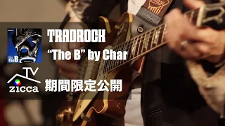 【期間限定公開】TRADROCK TV「"The B" by Char」