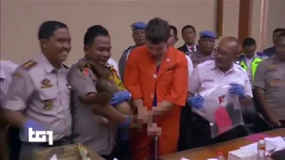 INDONESIA, RUSSIAN ORANGUTAN SMUGGLING