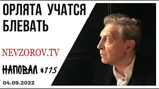 Чего боится путин, поддержка рссии в россии- миф,  патриотизм, школа, Пугачева, Соловьев и Буча.