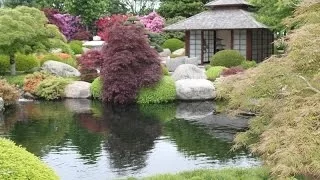 An extraordinary Japanese garden - Un jardin japonais extraordinaire