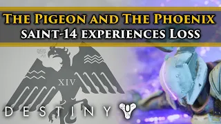 Destiny 2 Lore - The Pigeon & The Phoenix lore part 1! Saint-14's loss! Season of Dawn Lore!