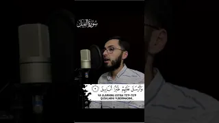 Fil Surasi - Mirg'iyos Mirhosilov | Surah Al Fil #Shorts