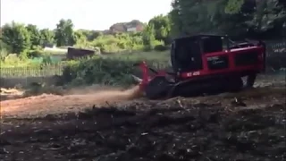 Prinoth/AHWI RT400: Conifer clearance.