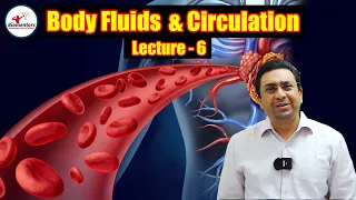 Body Fluids & Circulation l Lecture 6 l Biology l NEET