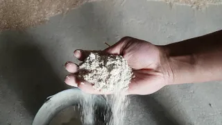Откорм бычков Как правильно давать мел  и соль
