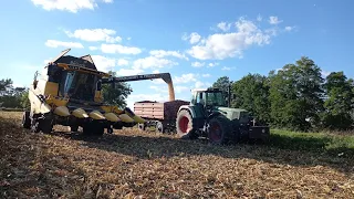 Kukurydza na ziarno 2022!🌽🔥 Fendt 818 turboshift, NewHolland CX6.80🚜