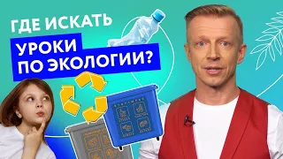 Чему учит «Зелёная школа»?