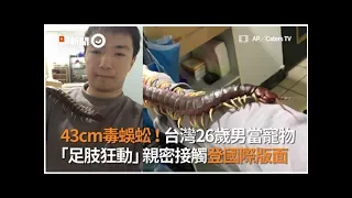 43cm有毒蜈蚣！台灣26歲男當寵物　「足肢狂動」親密接觸登國際版面 | 播吧BOBA