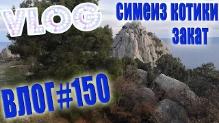 VLOG #150 Симеиз | Котики | Закат / Влог из Крыма