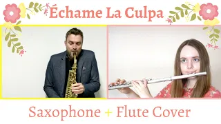 Échame La Culpa - Luis Fonsi, Demi Lovato (Sax and Flute Cover) @tomaznedoh