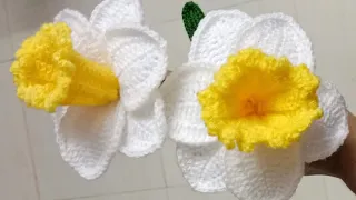 Crochet Daffodil Flower || Crochet Daffodils || Creative Asra