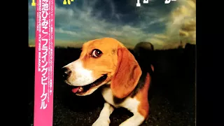 Himiko Kikuchi - Flying Beagle (1987)