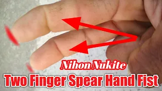 Two Finger Spear Hand (Nihon Nukite) Fist. #HandStrike #MartialArtsTraning #ShortsVideos.